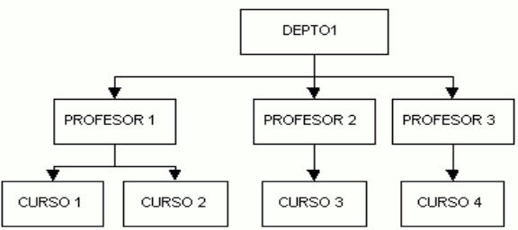 Figura 1 - BD jerárquicas