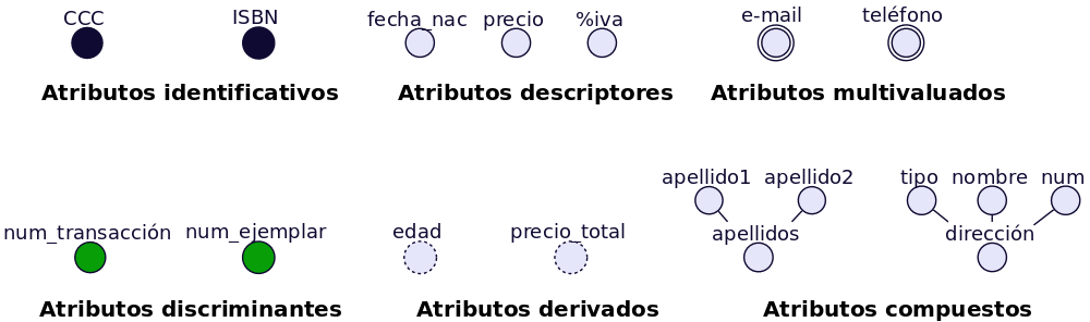 Figura 5 - Tipos de atributos